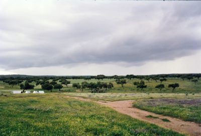 Sin+título-7